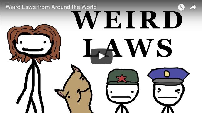 Beitragsbilder zum Video in dem die verrücktesten Gesetze der Welt vorgestellt werden