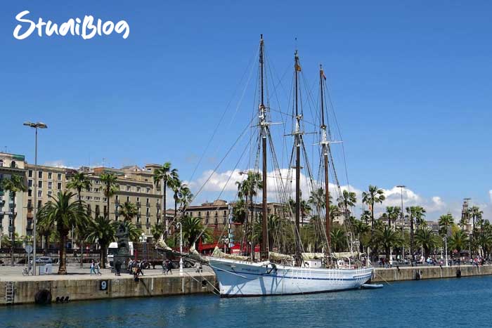 Paseo-Maritimo-Palma-de-Mallorca-Erfahrungsbericht-StudiBlog
